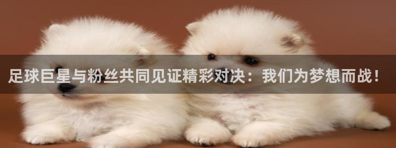 足球巨星与粉丝共同见证精彩对决：我们为梦想而战！