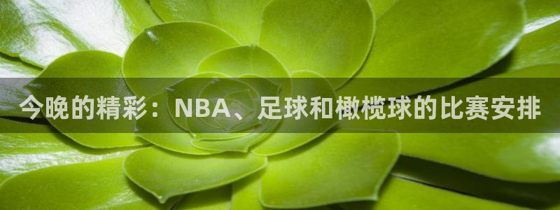 今晚的精彩：NBA、足球和橄榄球的比赛安排