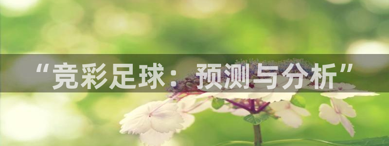 “竞彩足球：预测与分析”