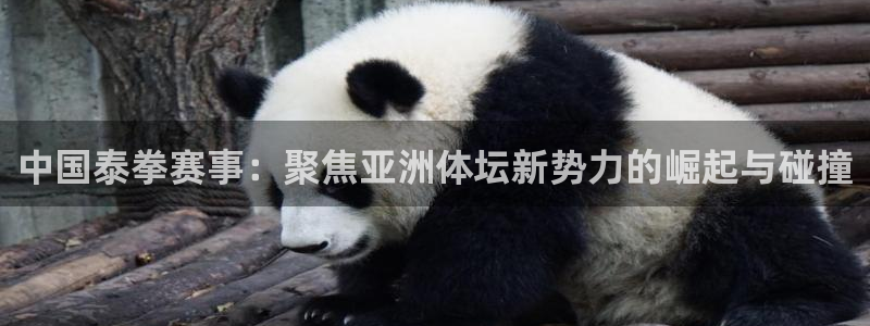 中国泰拳赛事：聚焦亚洲体坛新势力的崛起与碰撞