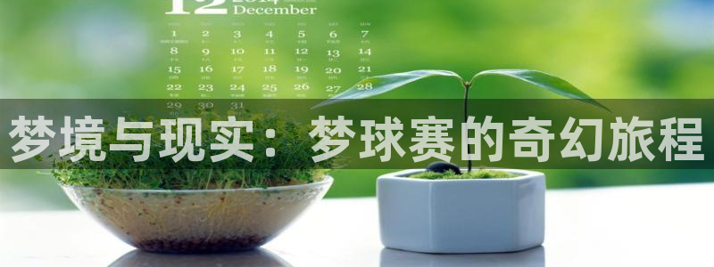 梦境与现实：梦球赛的奇幻旅程