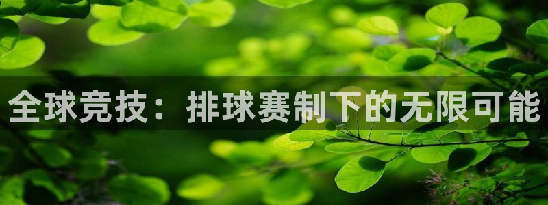 全球竞技：排球赛制下的无限可能