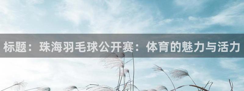 标题：珠海羽毛球公开赛：体育的魅力与活力