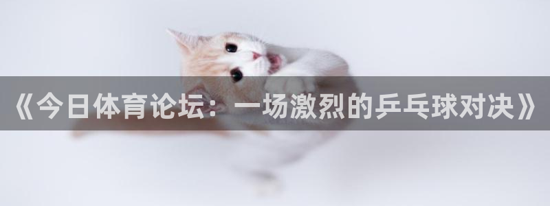 好博体育app官网下载：《今日体育论坛：一场激烈的乒乓球对决