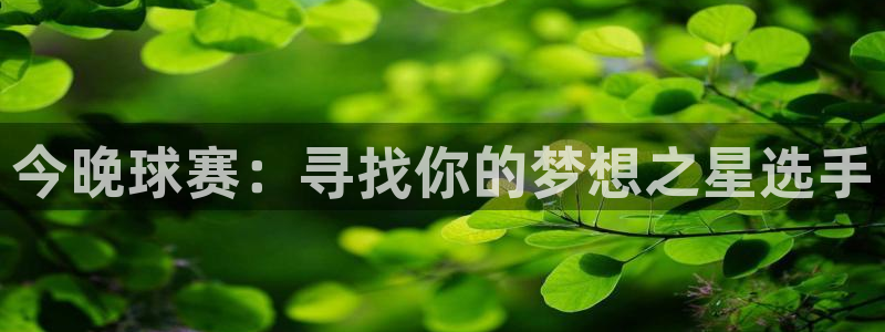 好博体育平台正规嘛安全吗：今晚球赛：寻找你的梦想之星选手