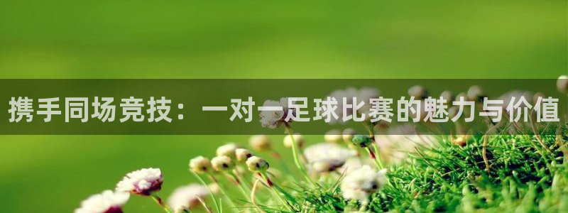 好博体育百度百科：携手同场竞技：一对一足球比赛的魅力与价值