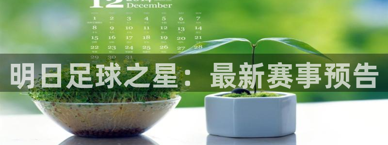 好博体育可以提现吗：明日足球之星：最新赛事预告