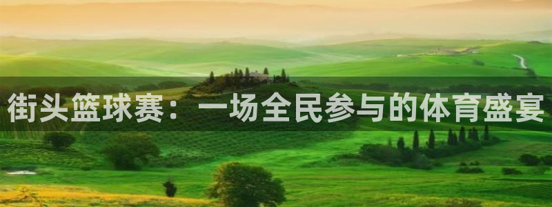 好博体育游戏：街头篮球赛：一场全民参与的体育盛宴